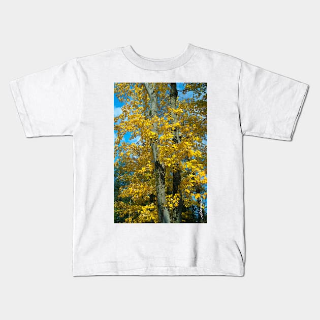 Yellow Maples Kids T-Shirt by srwdesign